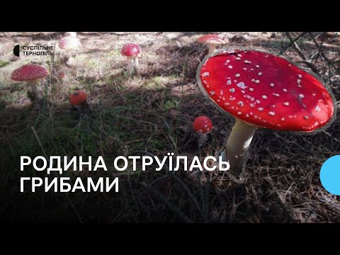 Видео: Багатодітна сім’я отруїлася грибами