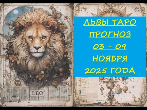Видео: 1 ноября 2025 г.