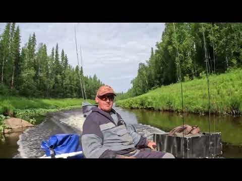 Видео: Ловля ХАРИУЗКА летом - Самая эффективная техника для малых водоемов