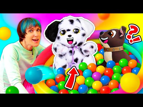 Видео: Сюрприз для Шоколадки — далматинец Baby Paws! Станут ли они друзьями?