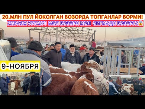 Видео: 20.МЛН ПУЛ ЙОКОЛГАН БОЗОРДА ТОПГАНЛАР БОРМИ! ХОРАЗМ МОЛ БОЗОРГА МОЛ СИГМАДИ 9-ноября 2025 г.