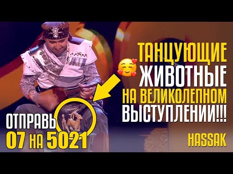 Видео: ТАНЦУЮЩИЕ ЖИВОТНЫЕ НА ВЕЛИКОЛЕПНОМ ВЫСТУПЛЕНИИ! Отправь 07 на 5021 за ансамбль HASSAK из Казахстана