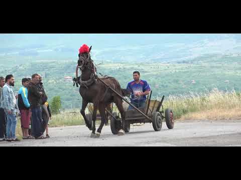 Видео: Състезание с Коне 1-номер-Нури Шампиона
