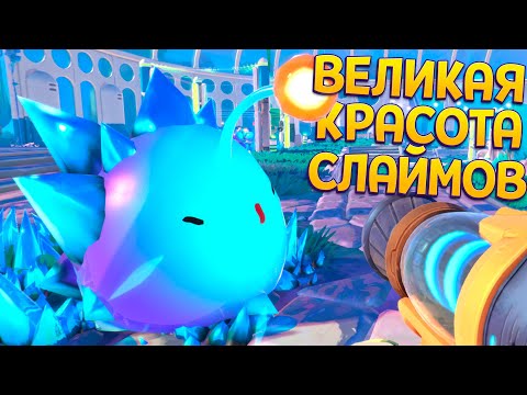 Видео: ВЕЛИКАЯ КРАСОТА СЛАЙМОВ ( Slime Rancher 2 )