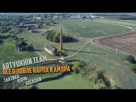 Видео: Все о ловле карпа и амура: тактика, корм насадки !