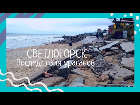 Видео: Светлогорск, самый полный обзор пляжа. Последствия ураганов на Балтийском побережье Калининград 2022