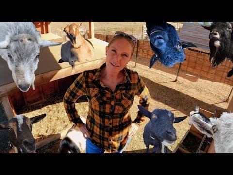 Видео: Что происходит!??