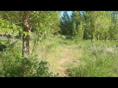 Видео: Қазақ батырларының мінген аттары тұлпарлары.