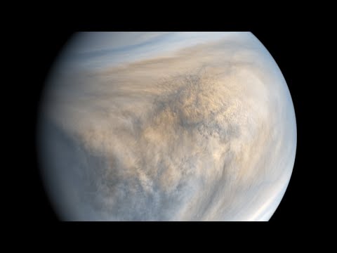 Видео: Сугар гариг - VENUS