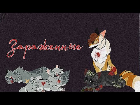 Видео: Пони вирус в котах воителях // АУ зараженные