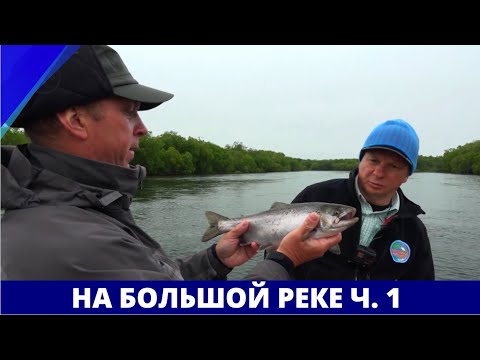 Видео: На Большой реке, часть 1 // География нахлыста