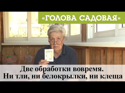 Видео: Голова садовая - Две обработки вовремя. Ни тли, ни белокрылки, ни клеща