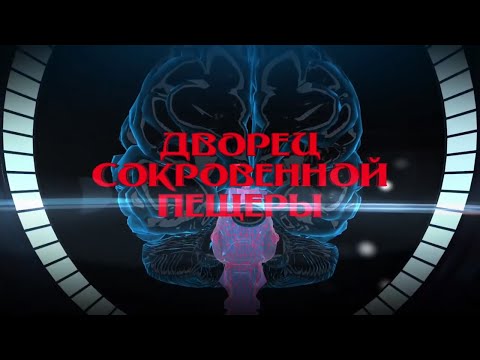 Видео: Метафизика мозга. Дворец сокровенной пещеры