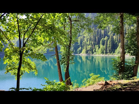 Видео: Абхазия Малая и Большая Рица, экскурсия, Голубое озеро и сель 13 августа 2025 г.