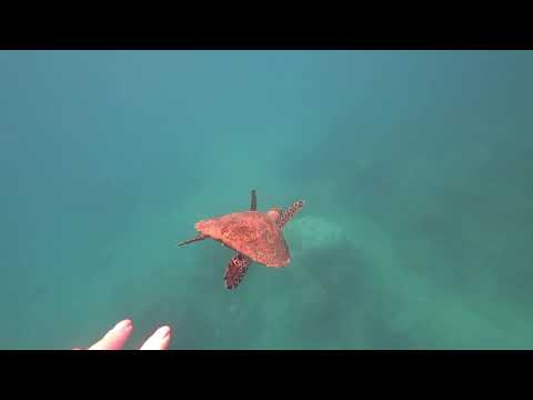 Видео: Перхентианы. Малайзия