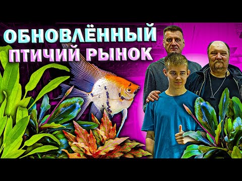 Видео: Обновлённый птичий рынок 2025 [Новые павильоны с аквариумными рыбками и растениями]