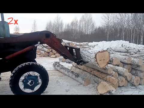 Видео: МТЗ 52 И МТЗ 50 работа на делянке ( от валки до штабелевки )