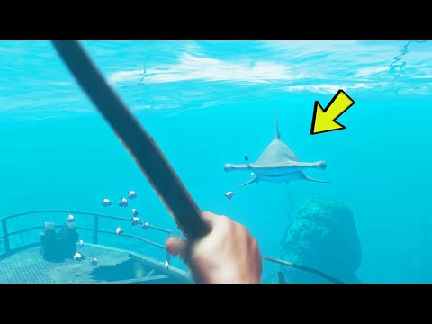 Видео: БИТКА НА ЖИВОТ И СМЪРТ С АКУЛА!