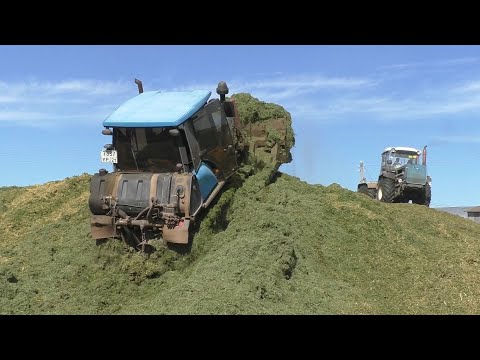 Видео: АГРОМАШ 90ТГ и ХТЗ 17221 на трамбовке силоса