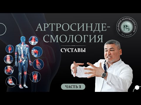 Видео: Артросиндесмология. Суставы часть 1 / ARTHROSYNDESMOLOGIA