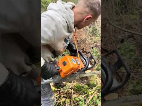 Видео: 28 жовтня 2025 р.