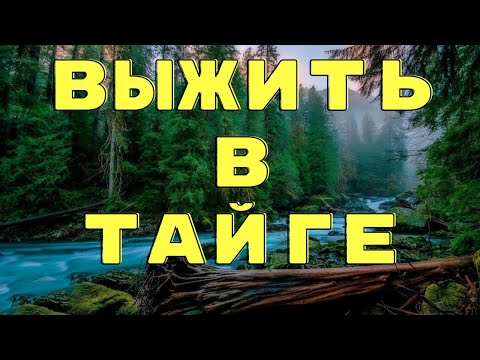Видео: Дедушка Лес/ Истории таёжных охотников/ Охотничьи байки/ Страшные истории