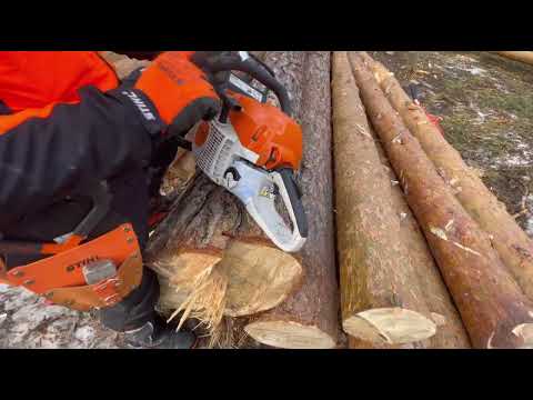 Видео: Лучшая бензопила, STIHL MS 261-CM, Test-drive