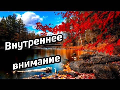 Видео: Как внимание влияет на жизнь/ Что мешает управлять вниманием