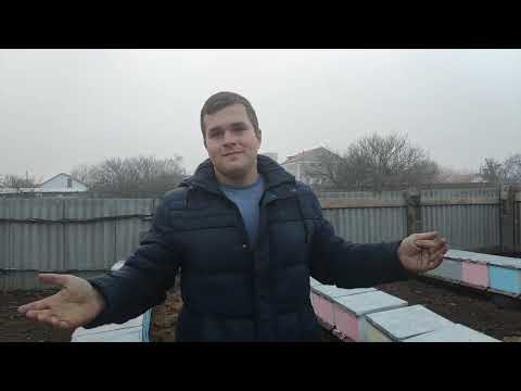 Видео: Улья ППС лучше деревянных.