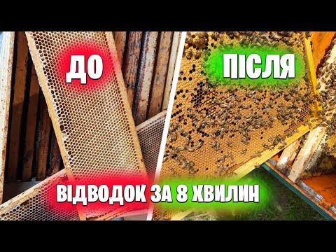 Видео: Відводок за 8 хвилин! Збірний відводок Мега швидко