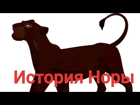 Видео: История Норы.