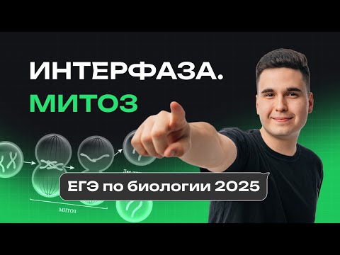 Видео: ВСЕ ОБ ИНТЕРФАЗЕ И МИТОЗЕ ДЛЯ ЕГЭ / БЕСПЛАТНЫЙ ИНТЕНСИВ NeoFamily