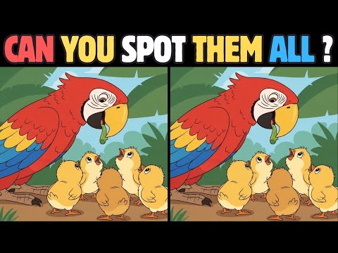 Видео: Эти 15 головоломок обманут ваши глаза! ⚡😵‍💫 #339