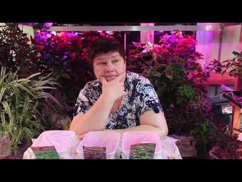 Видео: Что посеять в ноябре! Уже приступила к посадкам!