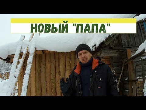 Видео: Пришлось опять менять ИНДЮКА  // Индюки разведение