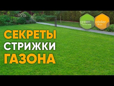 Видео: Секреты стрижки газона