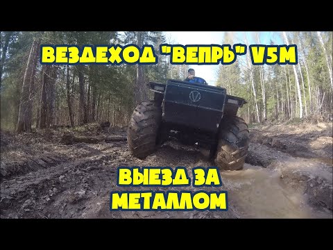 Видео: Вездеход Вепрь V5M  Выезд за металлом