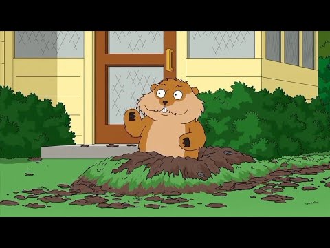 Видео: ГРИФФИНЫ ЛУЧШЕЕ#30