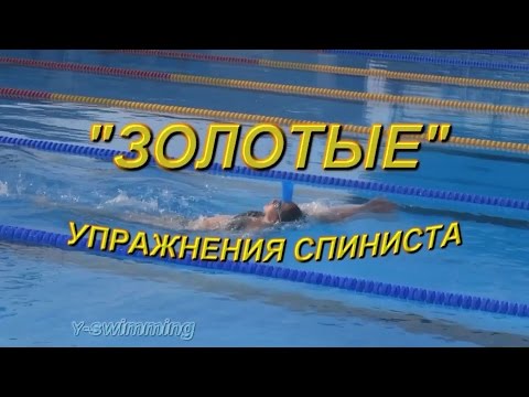 Видео: Золотые упражнения  спиниста.