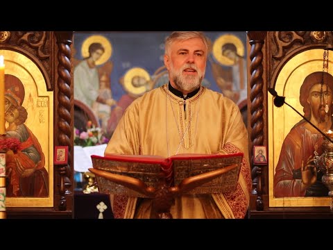 Видео: Беседа Епископа Григорија - Недеља сиропусна - Диселдорф