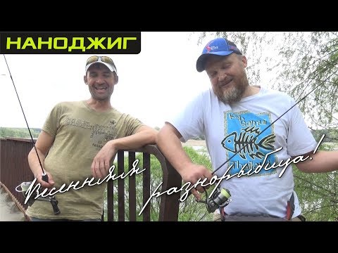 Видео: НаноДжиг.  Весенняя разнорыбица!
