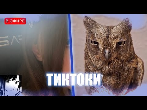 Видео: ЛИЗА СМОТРИТ ТИКТОКИ #1 | iceicell