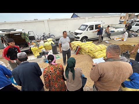 Видео: ЯНГИ БУГДОЙ НАРХЛАРИ ЯНА УЗГАРДИ! ТУРТКУЛЬ ЕМ-ХАШАК НАРХЛАРИ 2025 16 ноября 2025 г.