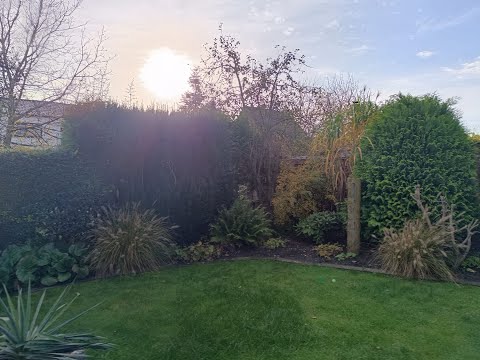 Видео: Подружка купила дачу