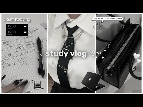 Видео: ⁺⊹📹 study vlog ; тихие школьные будни ; начало четверти ; coffee ; productive day!!🏁₊˚✧