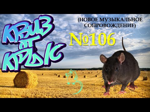 Видео: КВИЗ от КРЫС эпизод 106 (новое музыкальное сопровождение)