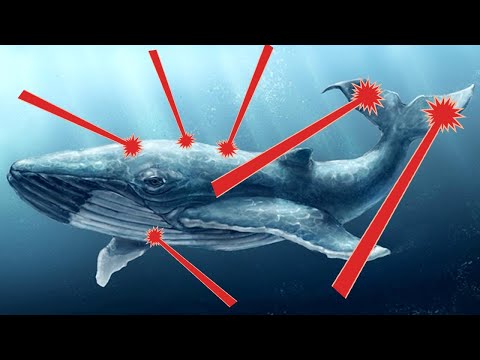 Видео: Мега-Проект Последний белый Terra Tech