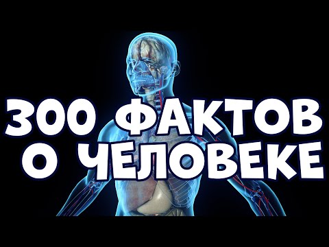 Видео: 300 ОЧЕНЬ ИНТЕРЕСНЫХ ФАКТОВ О ЧЕЛОВЕКЕ