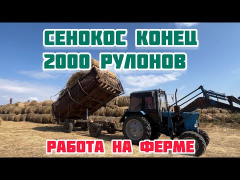 Видео: Будни на ферме. Привезли сено. Чистим базы