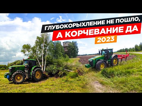 Видео: А берёзовые корни мне уже не по зубам... Работа корчевателя "Крокодил" за John Deere-6170М.